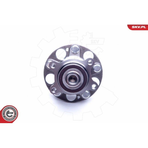 ESEN SKV Radlagersatz