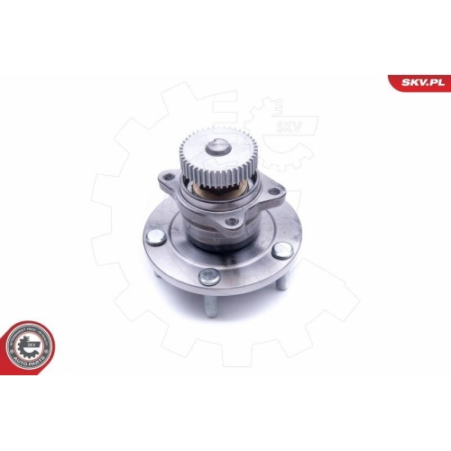 ESEN SKV Radlagersatz