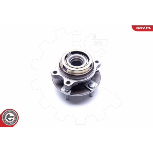 ESEN SKV Radlagersatz