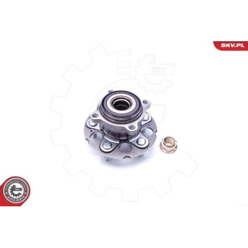 ESEN SKV Radlagersatz
