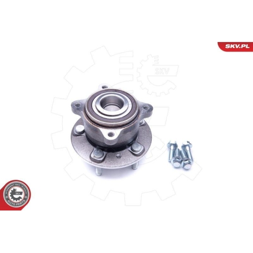 ESEN SKV Radlagersatz