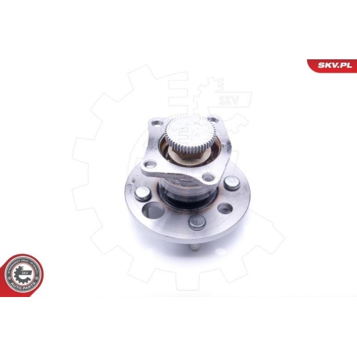 ESEN SKV Radlagersatz