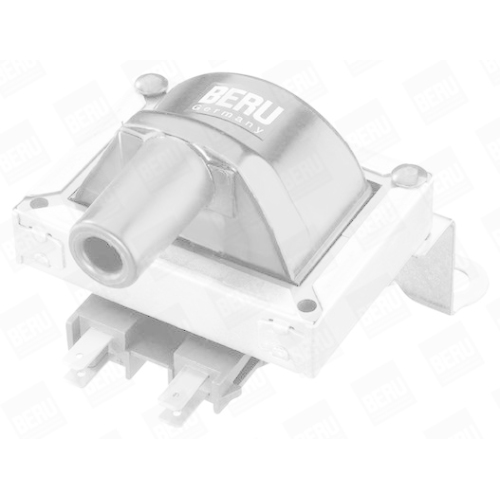 BorgWarner (BERU) Zündspule