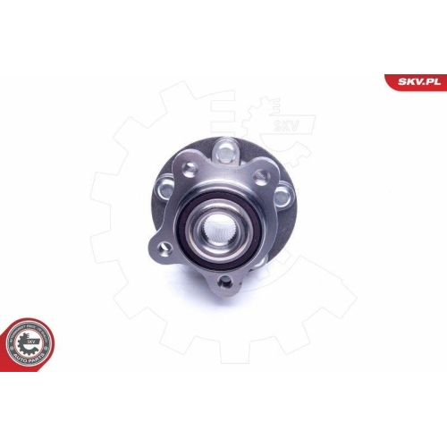 ESEN SKV Radlagersatz