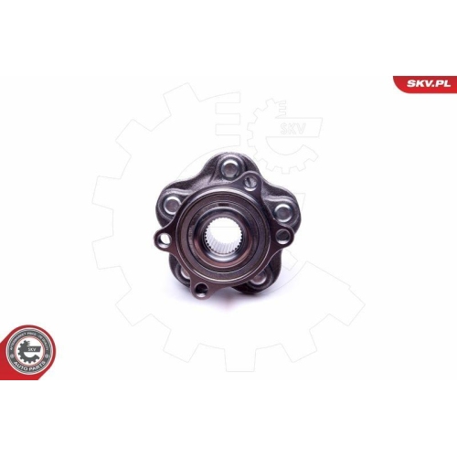 ESEN SKV Radlagersatz