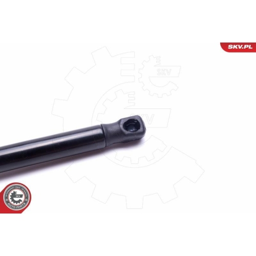 ESEN SKV Gasfeder, Koffer-/Laderaum