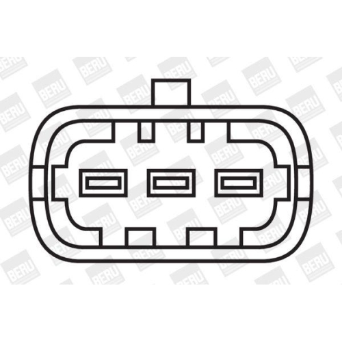 BorgWarner (BERU) Zündspule