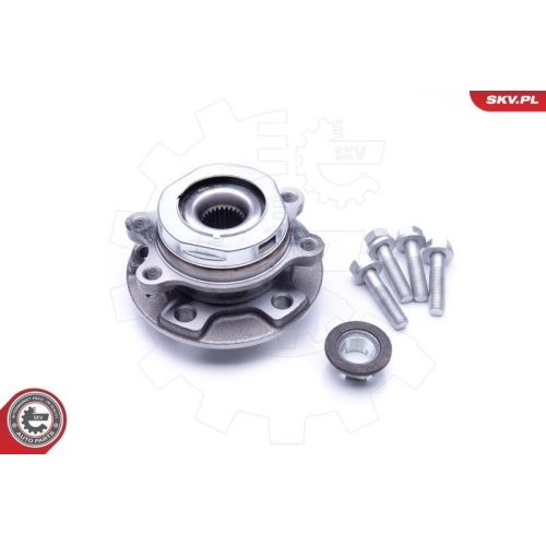 ESEN SKV Radlagersatz