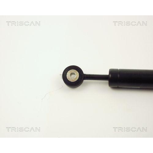 TRISCAN Schwingungsd&auml;mpfer, Keilrippenriemen