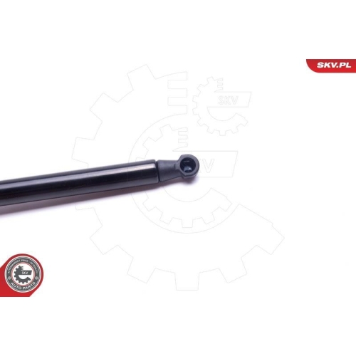 ESEN SKV Gasfeder, Koffer-/Laderaum