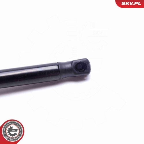 ESEN SKV Gasfeder, Koffer-/Laderaum