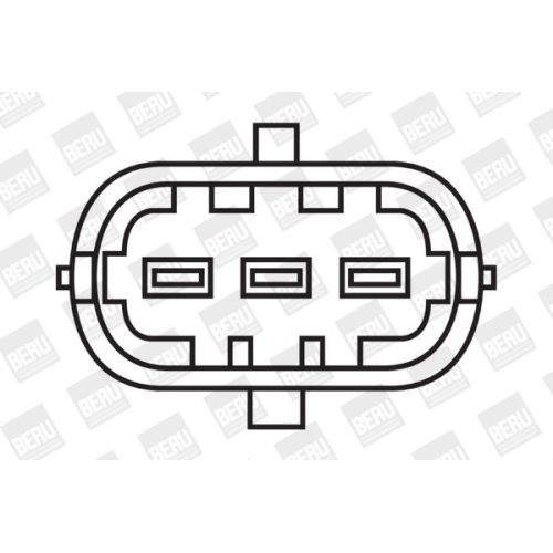 BorgWarner (BERU) Zündspule