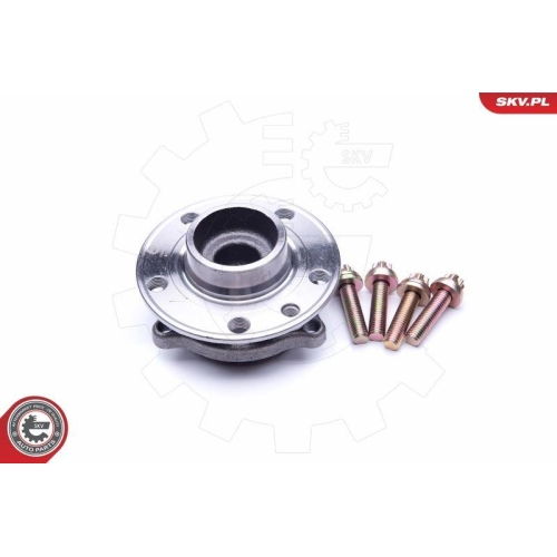 ESEN SKV Radlagersatz