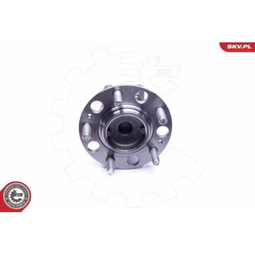 ESEN SKV Radlagersatz