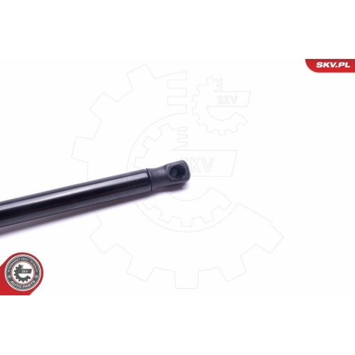 ESEN SKV Gasfeder, Koffer-/Laderaum