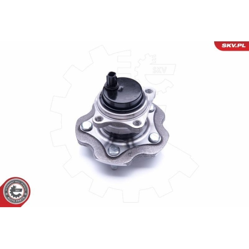 ESEN SKV Radlagersatz