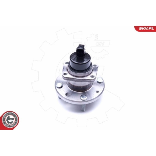 ESEN SKV Radlagersatz