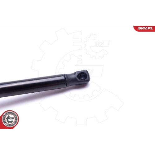 ESEN SKV Gasfeder, Koffer-/Laderaum