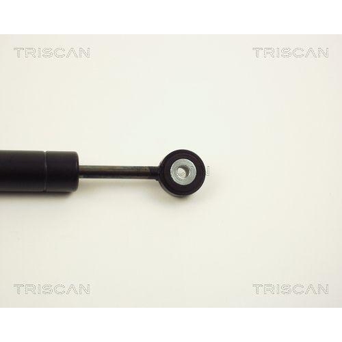 TRISCAN Schwingungsd&auml;mpfer, Keilrippenriemen