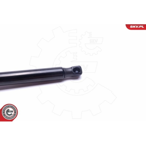 ESEN SKV Gasfeder, Koffer-/Laderaum