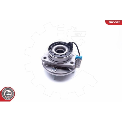 ESEN SKV Radlagersatz