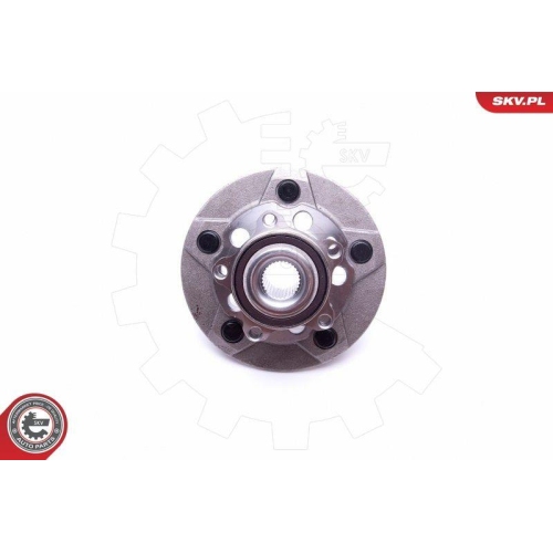 ESEN SKV Radlagersatz