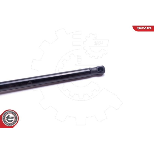 ESEN SKV Gasfeder, Koffer-/Laderaum