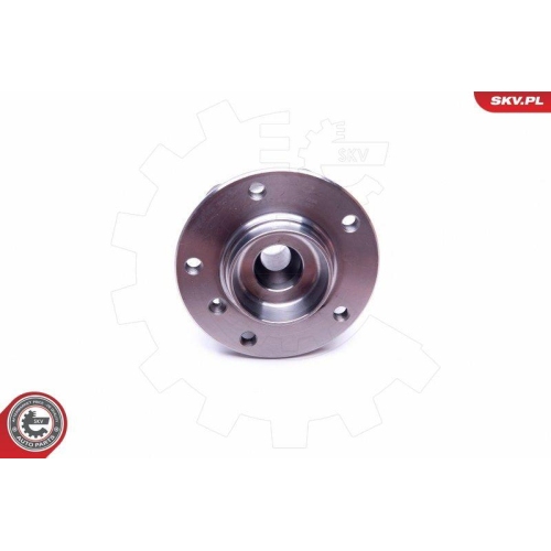 ESEN SKV Radlagersatz