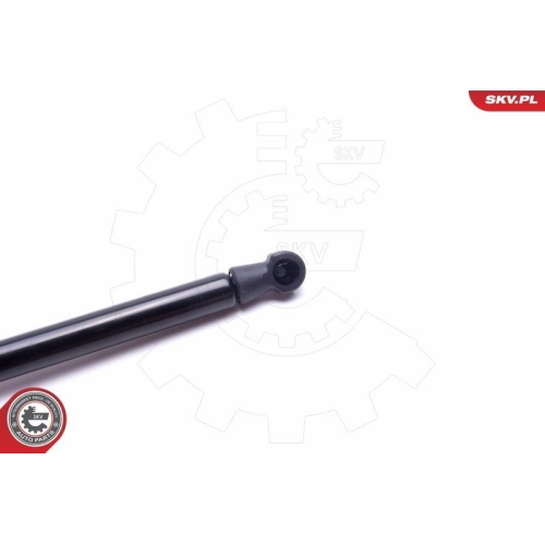 ESEN SKV Gasfeder, Koffer-/Laderaum