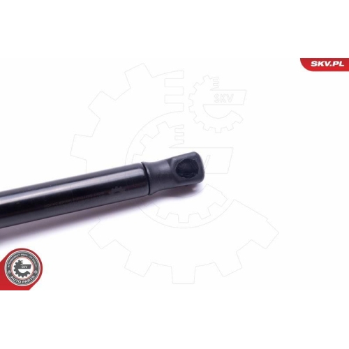 ESEN SKV Gasfeder, Koffer-/Laderaum