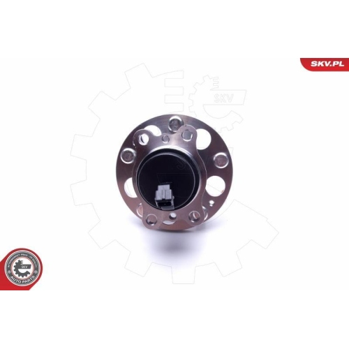 ESEN SKV Radlagersatz