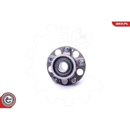 ESEN SKV Radlagersatz