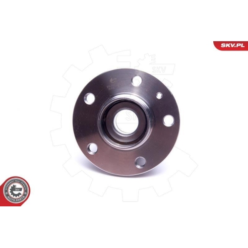 ESEN SKV Radlagersatz