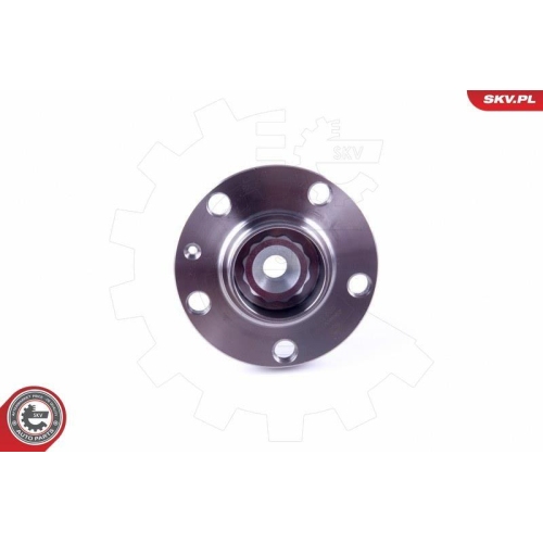 ESEN SKV Radlagersatz