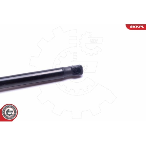 ESEN SKV Gasfeder, Koffer-/Laderaum