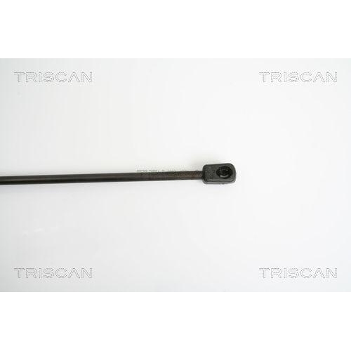 TRISCAN Gasfeder, Koffer-/Laderaum