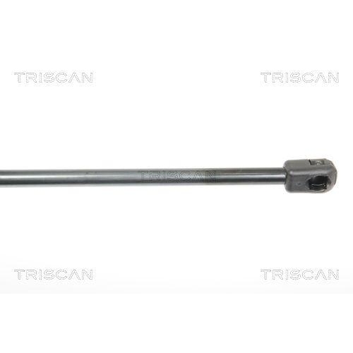 TRISCAN Gasfeder, Koffer-/Laderaum