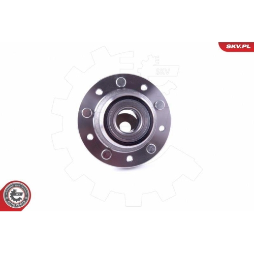 ESEN SKV Radlagersatz