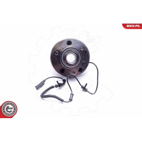 ESEN SKV Radlagersatz