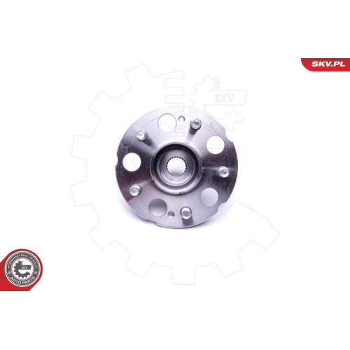 ESEN SKV Radlagersatz