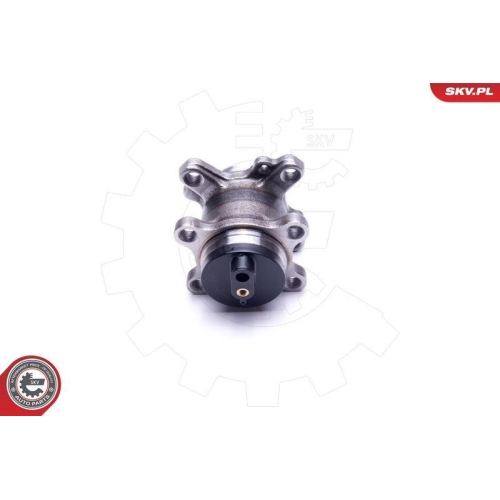 ESEN SKV Radlagersatz