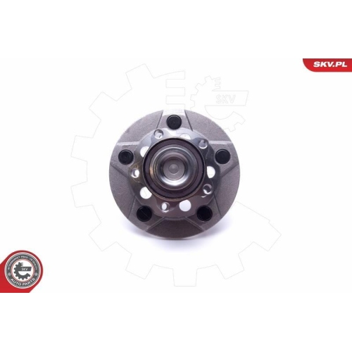 ESEN SKV Radlagersatz