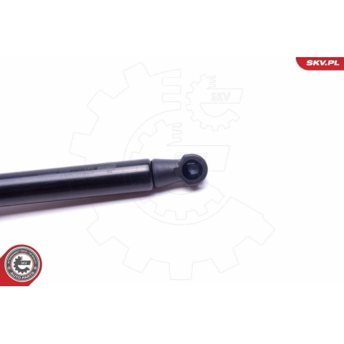 ESEN SKV Gasfeder, Koffer-/Laderaum