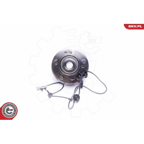 ESEN SKV Radlagersatz