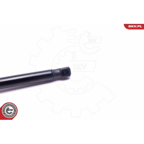 ESEN SKV Gasfeder, Koffer-/Laderaum