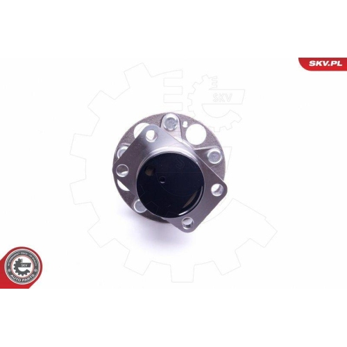 ESEN SKV Radlagersatz