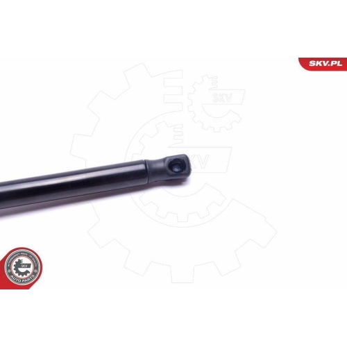 ESEN SKV Gasfeder, Koffer-/Laderaum