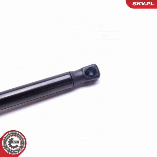 ESEN SKV Gasfeder, Koffer-/Laderaum