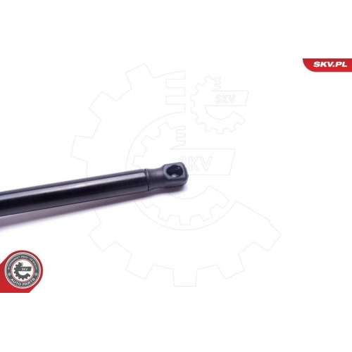 ESEN SKV Gasfeder, Koffer-/Laderaum