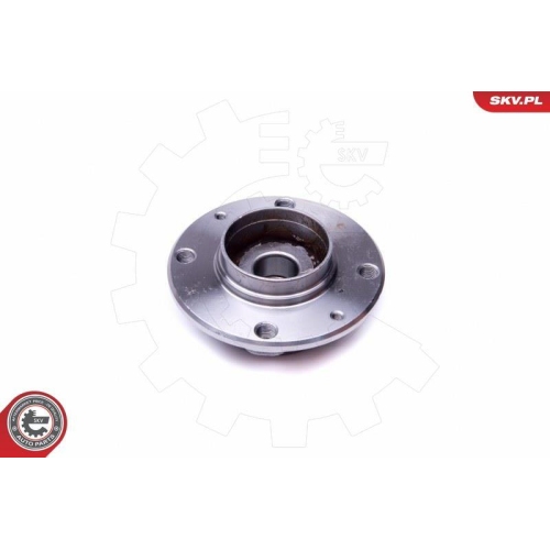 ESEN SKV Radlagersatz